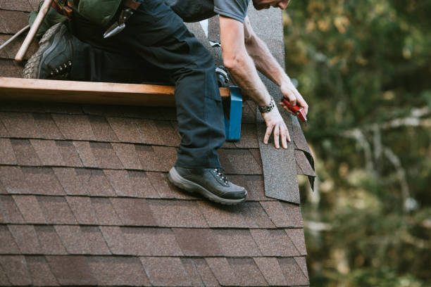 Best Roof Gutter Cleaning  in Decatur, TX